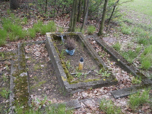 Cmentarz ewangelicki w Czyżeminku.