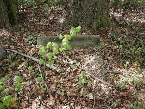 Cmentarz ewangelicki w Czyżeminku.