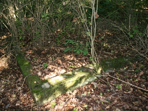 Cmentarz ewangelicki w Adamowie.