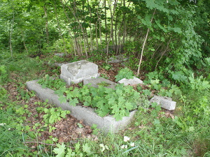 Cmentarz ewangelicki w Felicjanowie.