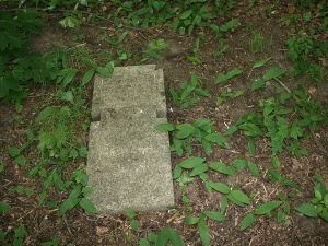 Cmentarz ewangelicki w Felicjanowie.