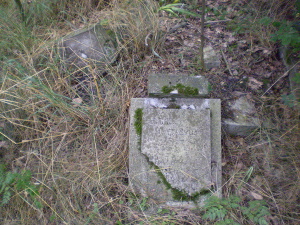 Cmentarz ewangelicki w Feliksowie.