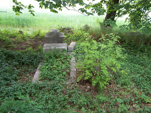 Cmentarz ewangelicki w Głogowcu.