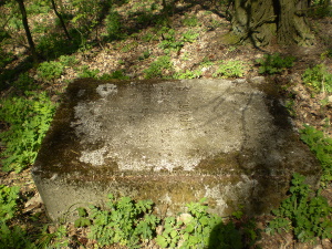Cmentarz ewangelicki w Starych Krasnodębach.
