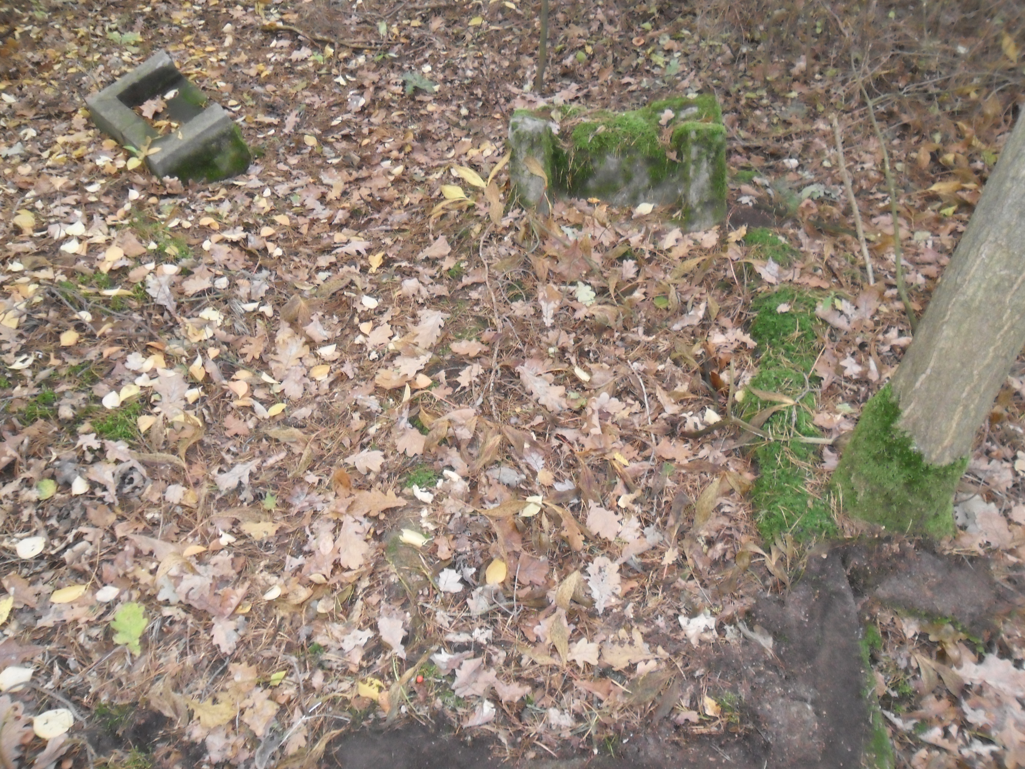 Cmentarz w Łuszczanowicach