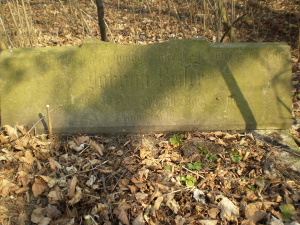 Cmentarz ewangelicki w Wiączynie Górnym.