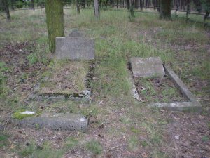 Cmentarz ewangelicki w Zborowskich.